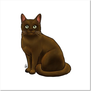 Burmese Cat - Sable Posters and Art